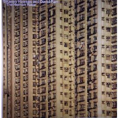 Kenny Hawkes & David Parr - Kenny Hawkes & David Parr - The Human Race - 20:20 Vision