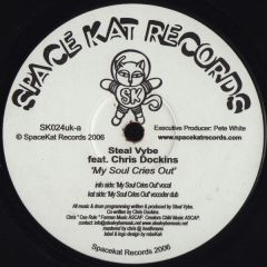 Steal Vybe Feat Chris Dockins - Steal Vybe Feat Chris Dockins - My Soul Cries Out - Space Kat Records