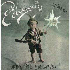 Edelweiss - Edelweiss - Bring Me Edelweiss (US Remix) - Gig Records