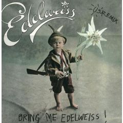 Edelweiss - Bring Me Edelweiss (US Remix) - Gig Records