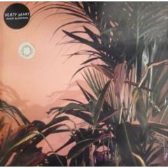 Beaty Heart - Beaty Heart - Mixed Blessings - Nusic Sounds