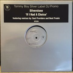 Silverstone - Silverstone - If I Had A Choice - Tommy Boy Silver