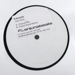 Evbointh - Evbointh - One Wish - Anjunabeats