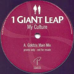 1 Giant Leap - 1 Giant Leap - My Culture (Remixes) - Palm Pictures