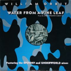 William Orbit - William Orbit - Water From A Vine Leaf - Virgin