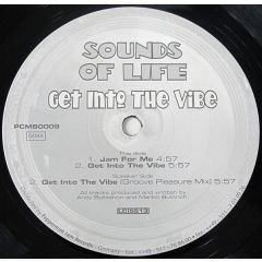 Sounds Of Life - Sounds Of Life - Get Into The Vibe - Prog City
