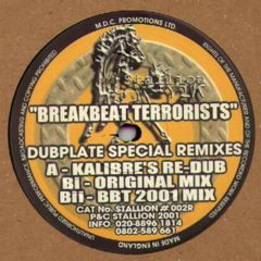 Breakbeat Terrorists - Breakbeat Terrorists - Dubplate Special (Remixes) - Stallion Y2K
