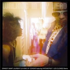 Ernest Saint Laurent & A Kind Of Ceasar - Ernest Saint Laurent & A Kind Of Ceasar - Walking In My Head - Fluid System