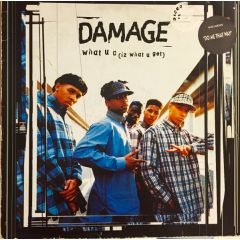 Damage - Damage - What U C (Iz What U Get) - Big Life