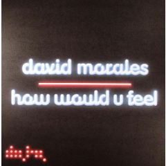 David Morales - David Morales - How Would You Feel - Data