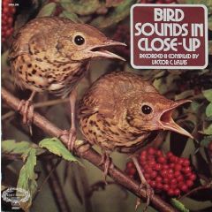 Victor C. Lewis - Victor C. Lewis - Bird Sounds In Close Up - Hallmark Records