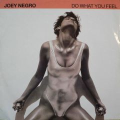 Joey Negro - Joey Negro - Do What You Feel - Z Records