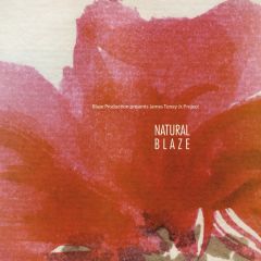 James Toney Jr. Project - James Toney Jr. Project - Natural Blaze - Life Line