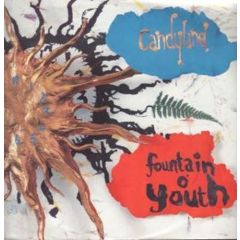Candyland - Candyland - Fountain O Youth (Remix) - Non Fiction