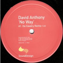 David Anthony - David Anthony - No Way (Garage Remix) - Sound Design