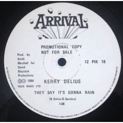 Kerry Delius - Kerry Delius - They Say It's Gonna Rain - Arrival