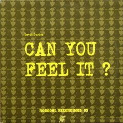 David Duriez - David Duriez - Can You Feel It - Robsoul