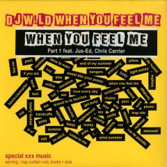 DJ Wild - DJ Wild - When You Feel Me Part 1 - W