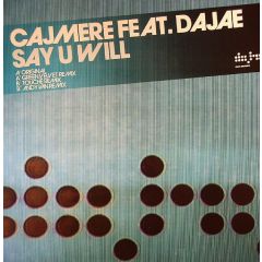 Cajmere Feat Dajae - Cajmere Feat Dajae - Say U Will - Data