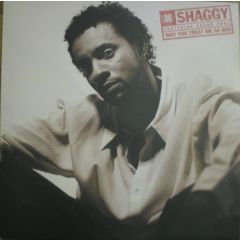 Shaggy - Shaggy - Why You Treat Me So Bad - Virgin