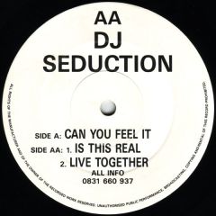 DJ Seduction - DJ Seduction - Can You Feel It - Impact