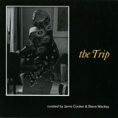 Jarvis Cocker & Steve Mackey Present - Jarvis Cocker & Steve Mackey Present - The Trip - Family Recordings