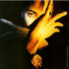 Terence Trent D'Arby - Terence Trent D'Arby - Neither Fish Nor Flesh - CBS