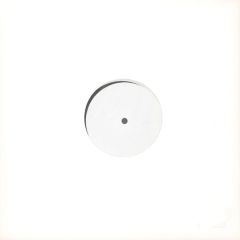 Terra V - Terra V - Bring Back The Future - Fakten 8