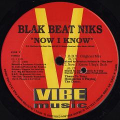 Blak Beat Niks - Blak Beat Niks - Now I Know - Vibe Music