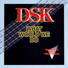 DSK - DSK - What Would We Do - ZYX