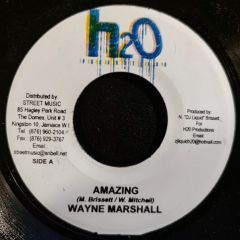 Wayne Marshall - Wayne Marshall - Amazing - H20 Productions