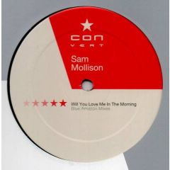 Sam Mollison - Sam Mollison - Will You Love Me In The Morning 2000 - Convert 