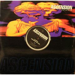 Plavka - Plavka - Maximum Motion - Ascension Records