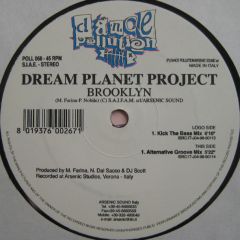 Dream Planet Project - Dream Planet Project - Brooklyn - Dance Pollution