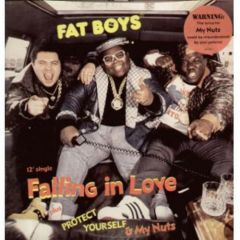 Fat Boys - Fat Boys - Falling In Love - Tin Pan Apple