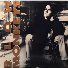 The Blow Monkeys - The Blow Monkeys - Some Kind Of Wonderful - RCA