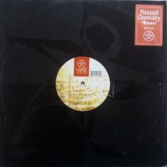 Pleasant Chemistry - Pleasant Chemistry - Bass - Yeti Records