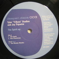 Tyler Stadius & Jay Tripwire - Tyler Stadius & Jay Tripwire - The Spirit EP - Deepen Discs