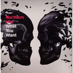 Northern Lite - Northern Lite - What You Want - 1st Decade Records