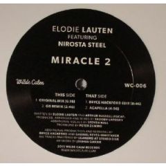Elodie Lauten Featuring Nirosta Steel - Elodie Lauten Featuring Nirosta Steel - Miracle 2 - Wilde Calm Records