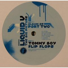 Various - Various - The Big Picture Album EP Part Two - Liquid V