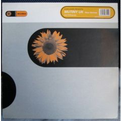 Mutiny Uk - Mutiny Uk - New Horizon - Sunflower