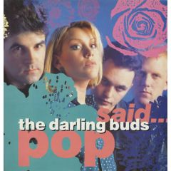 The Darling Buds - The Darling Buds - Pop Said - Epic