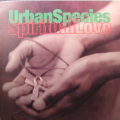 Urban Species - Urban Species - Spiritual Love - Talkin Loud