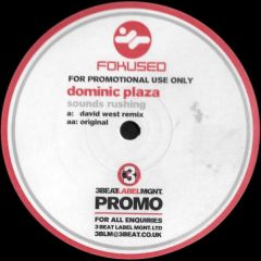 Dominic Plaza - Dominic Plaza - Sounds Rushing - Fokused Recordings