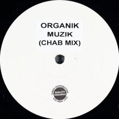 Organik - Organik - Muzik (Chab Mix) - Not On Label