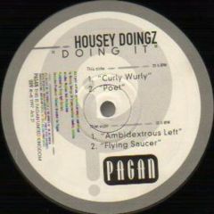 Housey Doingz - Housey Doingz - Doing It - Pagan