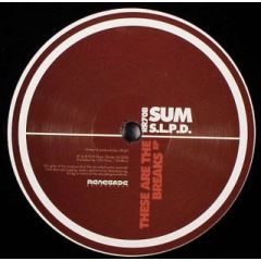 Various Artists - Various Artists - These Are The Breaks - Renegade Rec