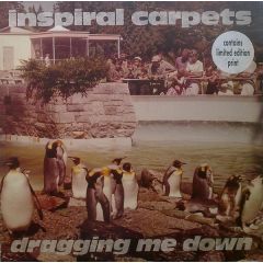 Inspiral Carpets - Inspiral Carpets - Dragging Me Down - Mute