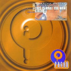 Maurice Fulton Presents - Maurice Fulton Presents - This Is What You Want - Pagan